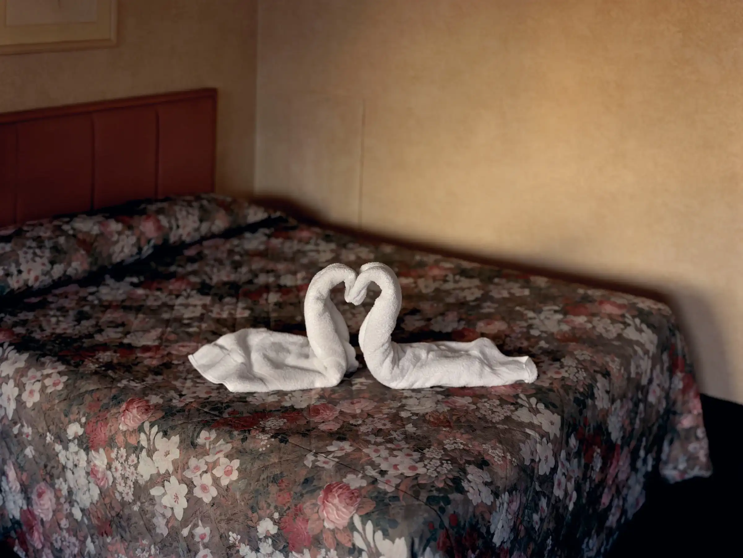 Workshop: Alec Soth